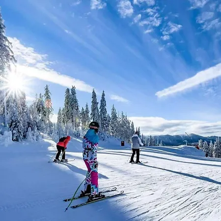 Silver Hills & With Free Parking 3* 斯莫梁