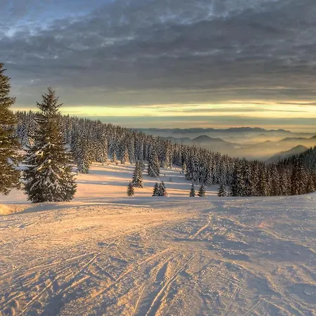 Silver Hills & With Free Parking ホテル