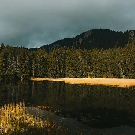 Silver Hills & With Free Parking