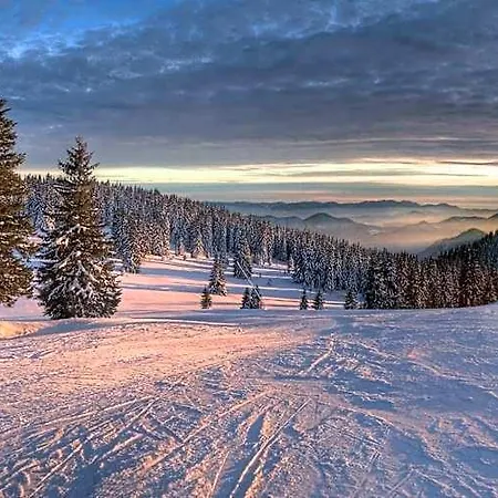 Silver Hills & With Free Parking Hotel Smolyan