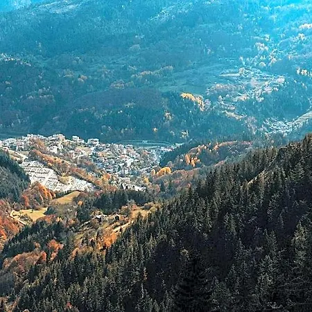 Hotel Silver Hills & With Free Parking 3*